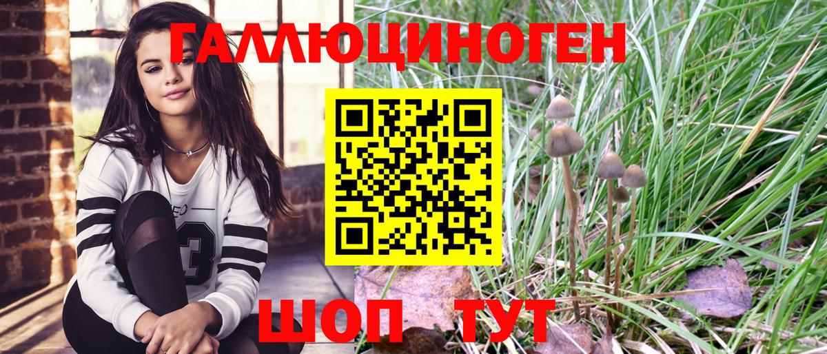 Псилоцибиновые грибы Psilocybine cubensis Кыштым