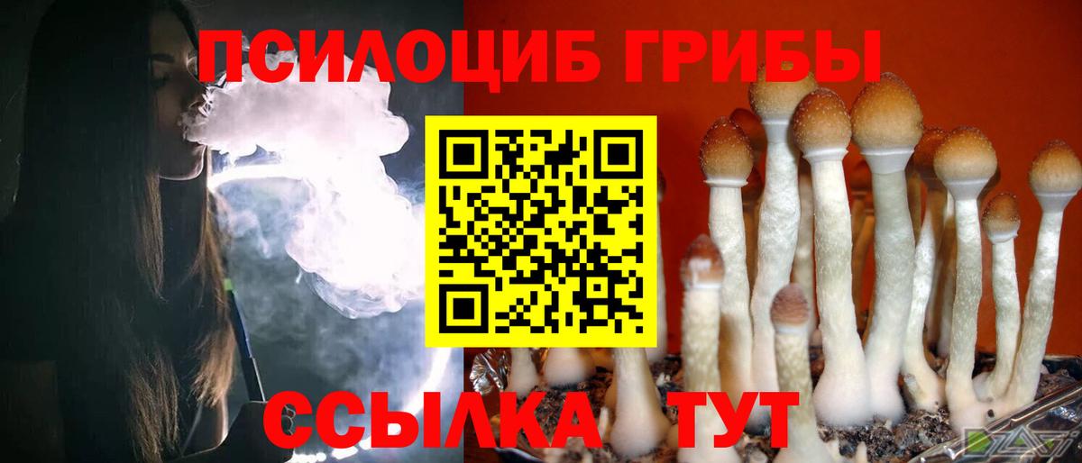 Псилоцибиновые грибы GOLDEN TEACHER  Кыштым 