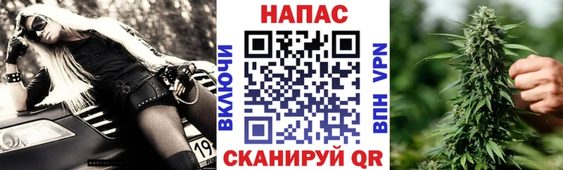 Бошки Шишки сатива  сколько стоит  Кыштым 